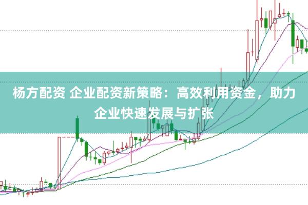 杨方配资 企业配资新策略：高效利用资金，助力企业快速发展与扩张
