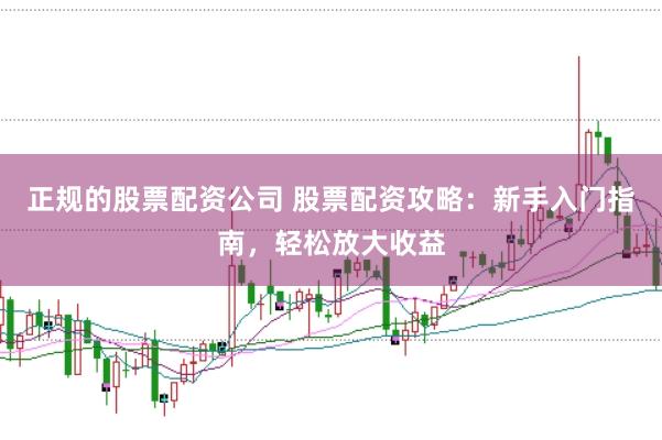 正规的股票配资公司 股票配资攻略：新手入门指南，轻松放大收益