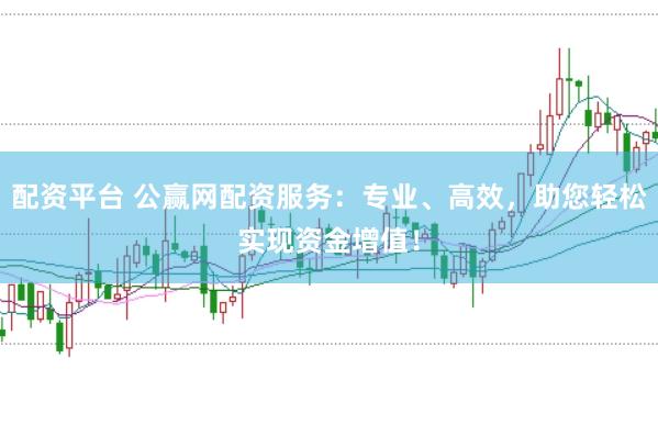 配资平台 公赢网配资服务：专业、高效，助您轻松实现资金增值！