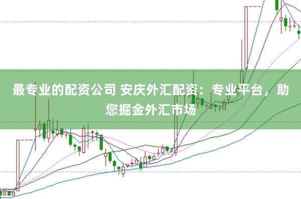 最专业的配资公司 安庆外汇配资：专业平台，助您掘金外汇市场