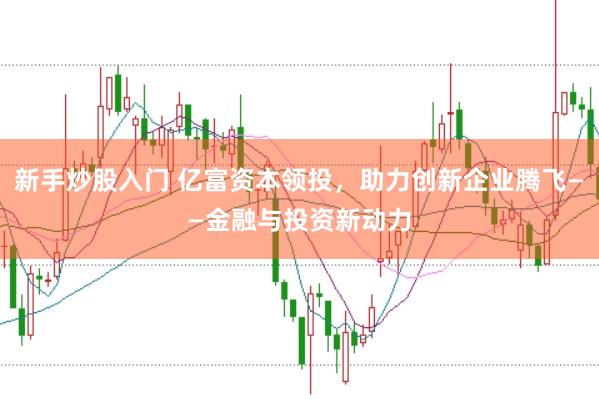 新手炒股入门 亿富资本领投，助力创新企业腾飞——金融与投资新动力