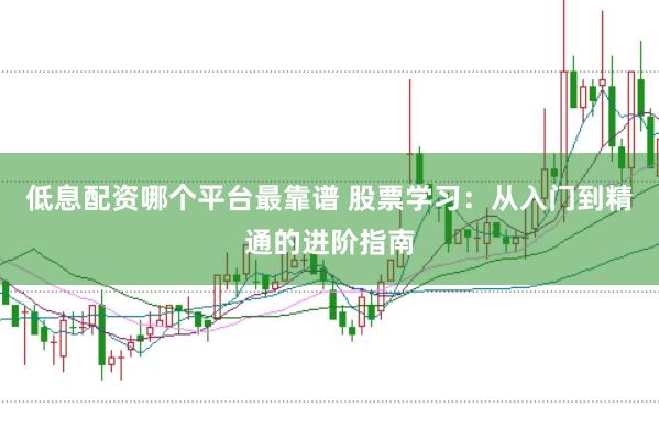 低息配资哪个平台最靠谱 股票学习：从入门到精通的进阶指南