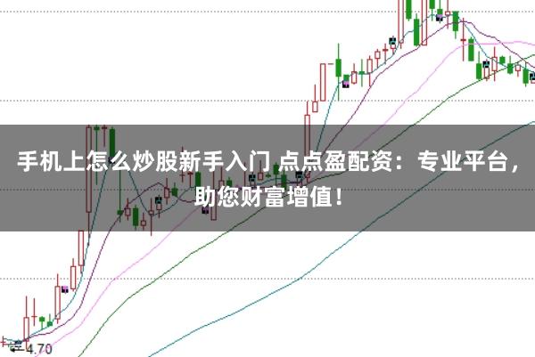 手机上怎么炒股新手入门 点点盈配资：专业平台，助您财富增值！
