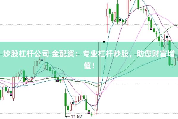 炒股杠杆公司 金配资：专业杠杆炒股，助您财富增值！
