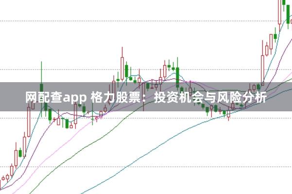网配查app 格力股票：投资机会与风险分析