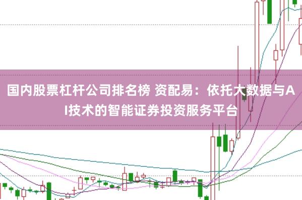 国内股票杠杆公司排名榜 资配易：依托大数据与AI技术的智能证券投资服务平台