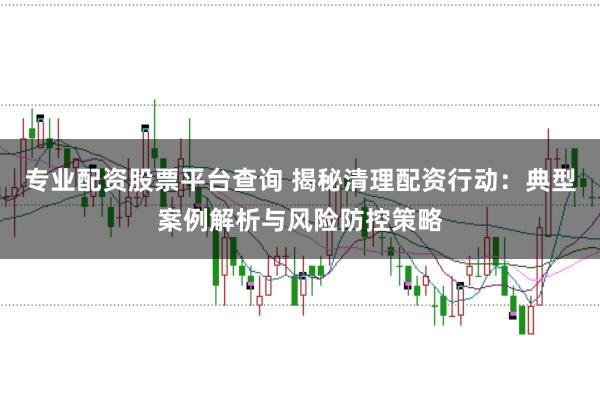 专业配资股票平台查询 揭秘清理配资行动：典型案例解析与风险防控策略