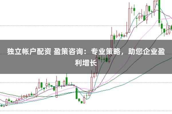 独立帐户配资 盈策咨询：专业策略，助您企业盈利增长