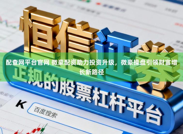 配查网平台官网 微豪配资助力投资升级，微豪操盘引领财富增长新路径